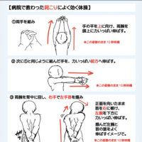 これで肩こり解消 漫画家がイラストで紹介 肩こり体操 のストレッチ法が効くと話題に マネートーク