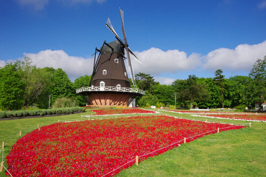 Zip で注目 ふなばしアンデルセン公園 入園料や開園時間 駐車場代など完全まとめ